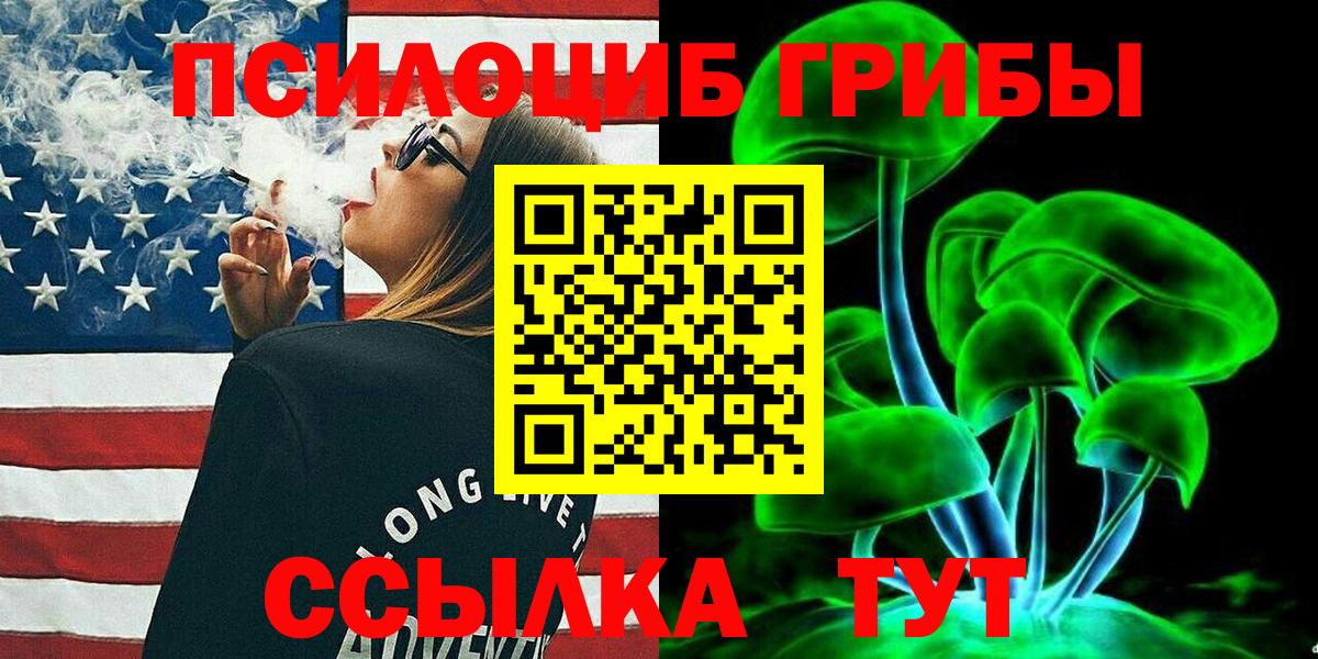 Псилоцибиновые грибы Psilocybe Железноводск