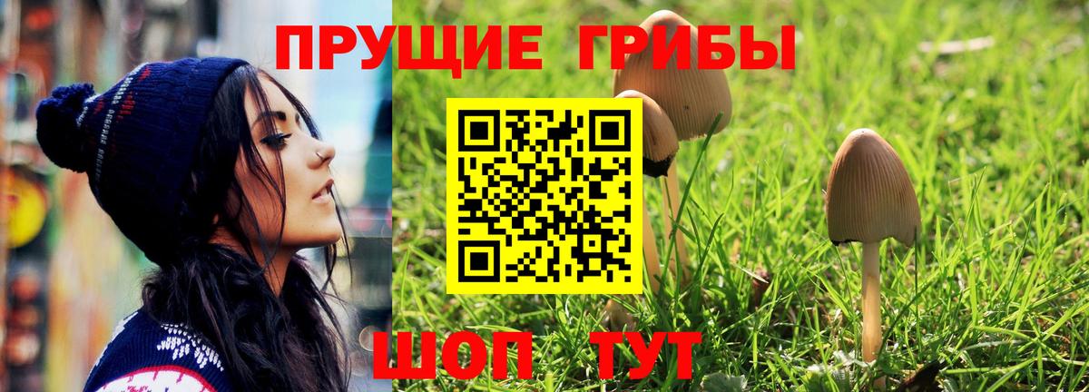 Железноводск  Галлюциногенные грибы MAGIC MUSHROOMS  Галлюциногенные грибы Cubensis  Вход с VPN 